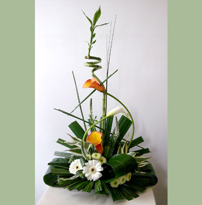 Occasion Florist in Bolton Arrangements from 15.00